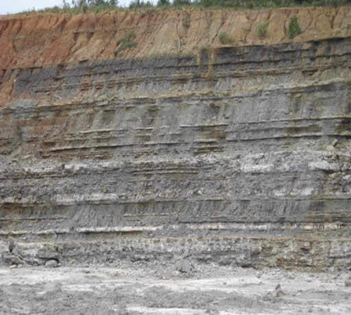 Gypsum beds in the DeQueen Limestone