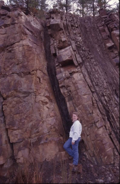 Vertical bedding at Y-City