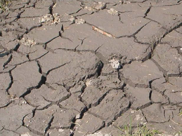 mud cracks