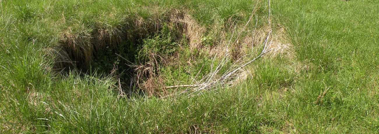 sinkhole-near-fitton-spring