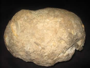 chert nodule