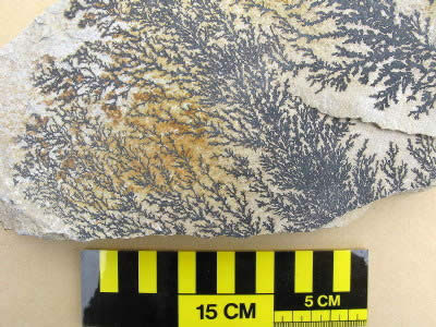 Manganese dendrites