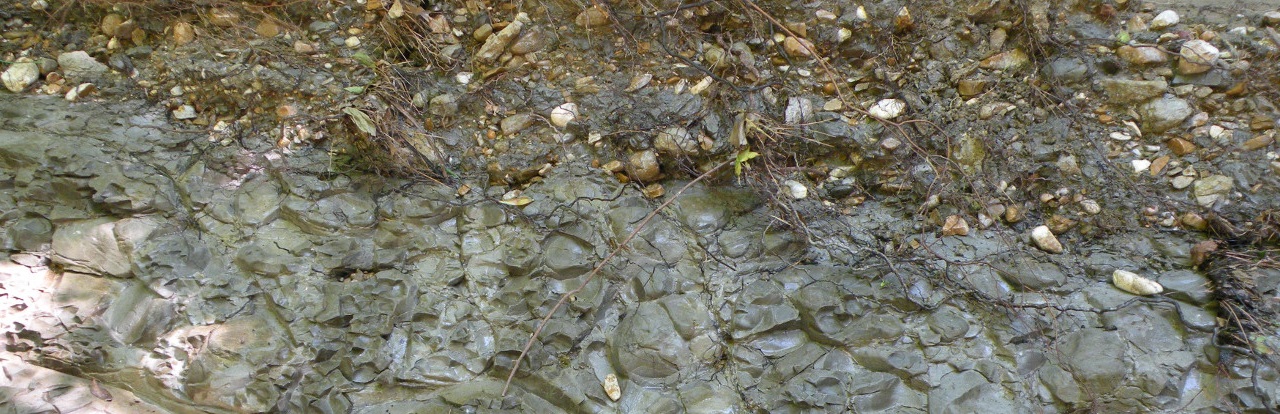 Third slide Mississippi Embayment and Gulf Coastal Plain, Mill-creek