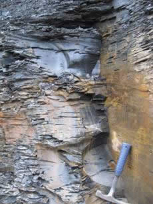 Chattanooga Shale at Bella Vista Arkansas.   Approximately 30-40 ft. exposed.   The St. Joe Limestone Member of the Boone Formation is present above the  Chattanooga Shale.