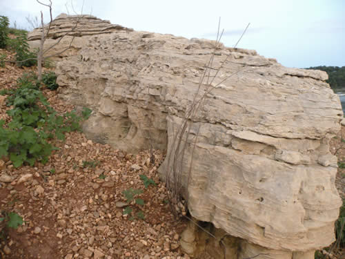 Cotter Formation at Dimaond City, AR