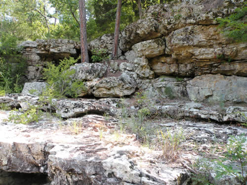 Cotter chert, Williams Creek