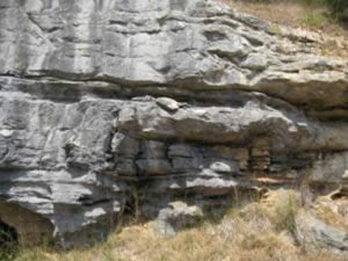 Dolostone in the Everton Formation near Landis Arkansas