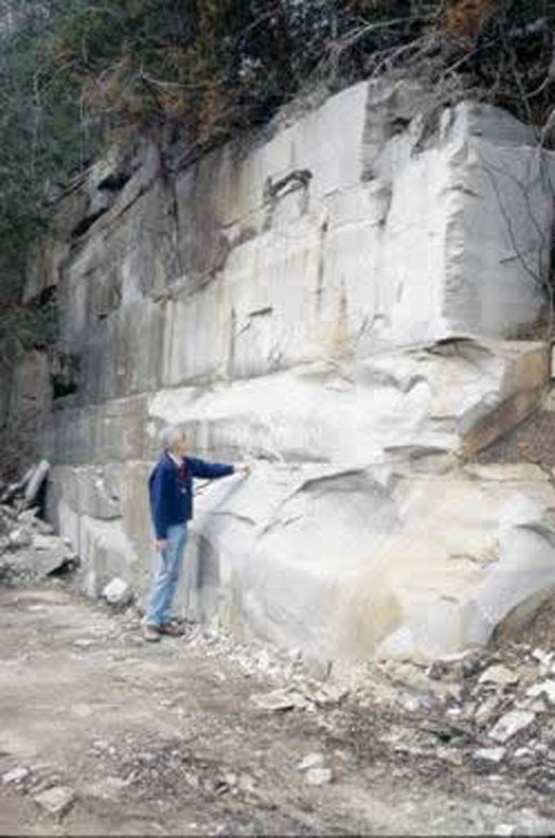 Boone Formation at Pfieffer, Arkansas