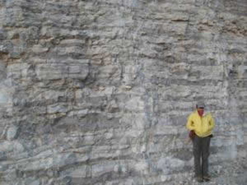 Boone Formation along Hwy 65 at Marshall, AR