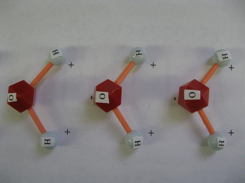 Arranged water molecules from positive to negative