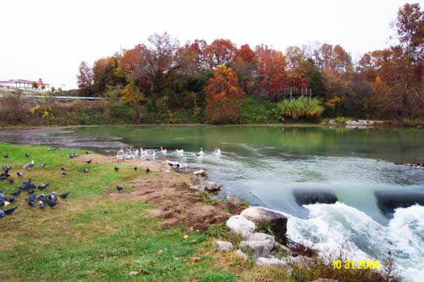 Mammoth Springs in Fulton County