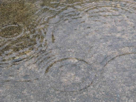 Spring bubbles rising from stream bed